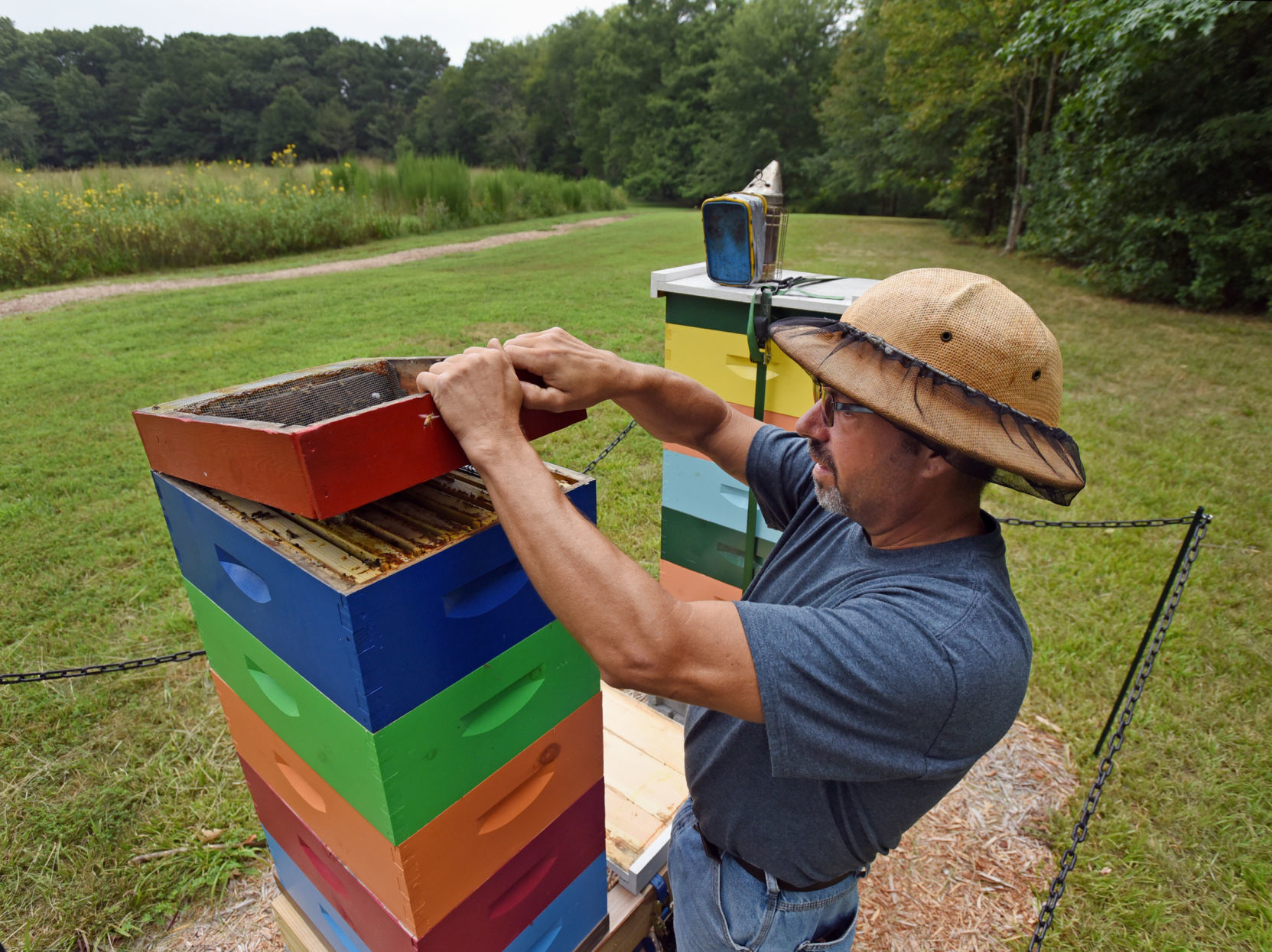 Pollinators